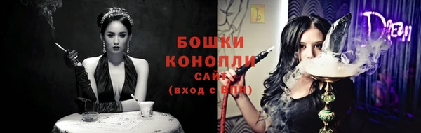 гашик Корсаков